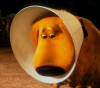 30599