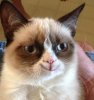 happygrumpycat.jpg