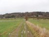 Looking north from Stoumont  south fields.jpg