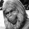 Dr Zaius