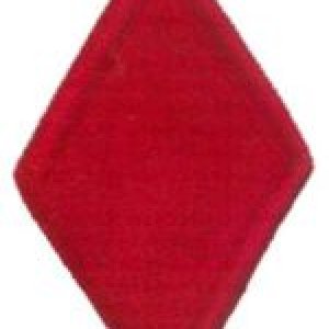 US 5th Infantry Division