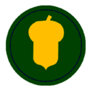 US 87th Infantry Division