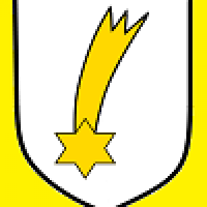 4. Fallschirmjäger Division