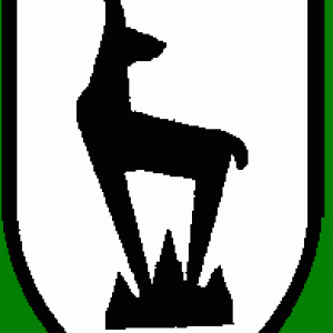 5. Gebirgsjäger Division