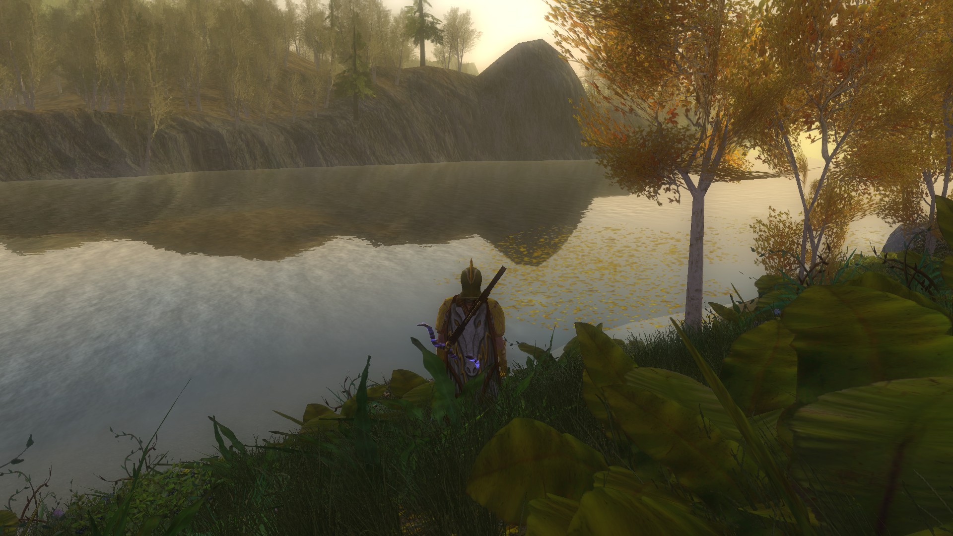 Banks of the River Anduin