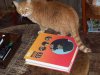 100_2717.JPG